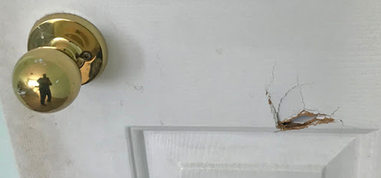 interior door hole repair Linda