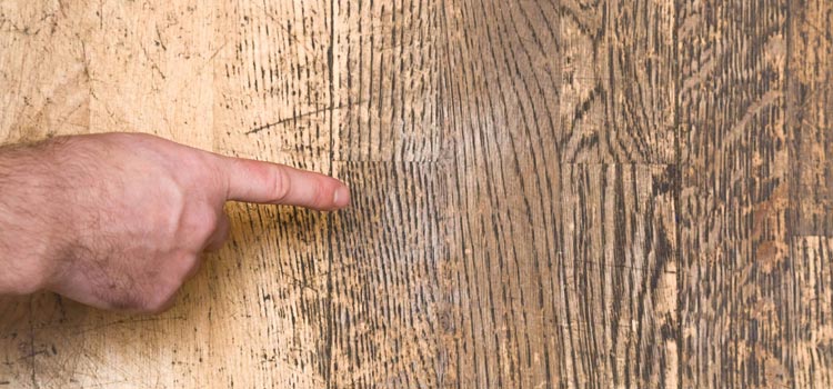 Wood Door Scratch Repair in Linda
